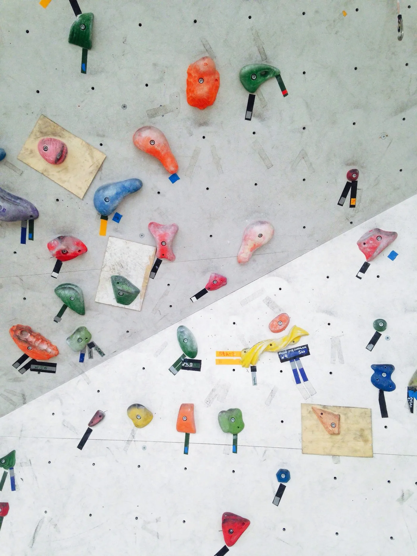 Bunte Klettergriffe an einer Boulderwand