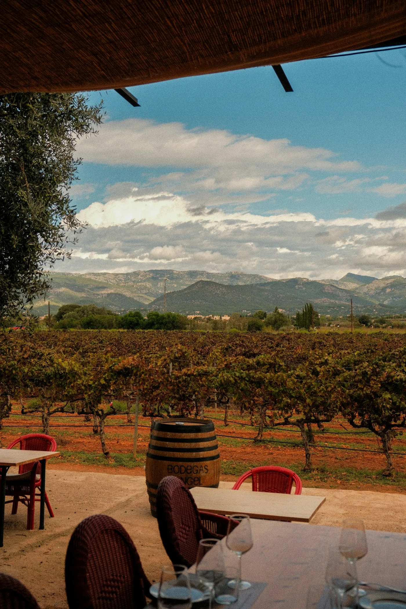 Gedeckter Tisch mit Weingläsern mit Blick auf den Weinberg